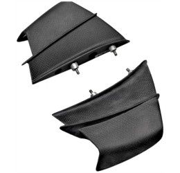 Alette anteriori in carbonio Lightech per Ducati Panigale V4 18-21 (Coppia)