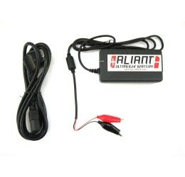 Caricabatterie Aliant 3ampere (Carica tutte le batteria al litio Aliant)