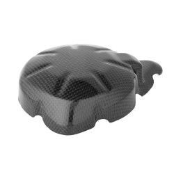 Coperchio alternatore in carbonio Lightech per Kawasaki Z 900 17-25