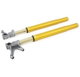Forcella Ohlins FGR 250 R&T TTX da 43mm per Ducati Panigale V4 R 2025 (foderi colore ORO)