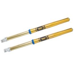 Forcella Off-Road Ohlins RXF48 MM per KTM 300 XC 2023