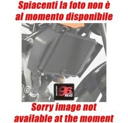 Griglia protezione testa cilindro Faster96 by RG per Ducati Multistrada 950 17-21 in alluminio