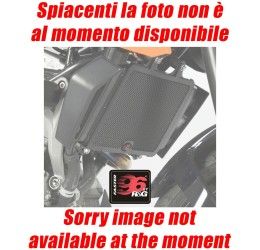 Griglia protezione testa cilindro Faster96 by RG per Ducati Multistrada 950 ABS 17-21 in alluminio