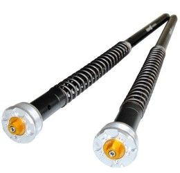 Cartucce forcella Andreani MISANO EVO 2 per Honda CBR 1000 RR-R 20-25 - (forcella Showa 43 BPF)