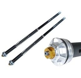 Cartucce forcella Andreani MISANO EVO per Suzuki SV 650 99-02