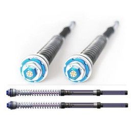 Cartucce forcella FG Gubellini P. ZERO per Kawasaki ZX-6R 07-08