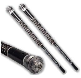 Cartucce forcella FG Gubellini STEALTH per Honda XL 750 V Transalp 22-25