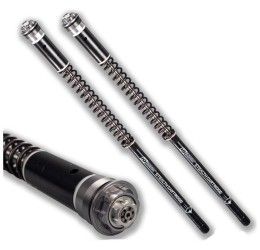 Cartucce forcella FG Gubellini STEALTH per Kawasaki ZX-12R 00-06