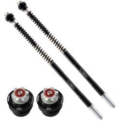 Cartucce forcella Matris F25R per Benelli Tornado TRE 900 03-06 (forcella tipo Marzocchi)