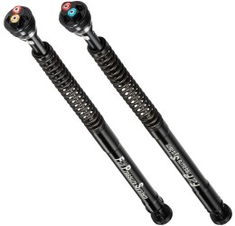 Cartucce forcella Bitubo EBH0 per Suzuki GSX-R 1000 17-25