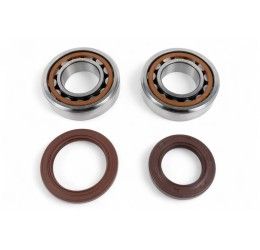 Kit cuscinetti albero motore e paraoli Bearingworx per Husaberg FE 250 2014