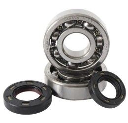Kit cuscinetti albero motore e paraoli Hot Rods per Honda CRF 250 RX 18-24