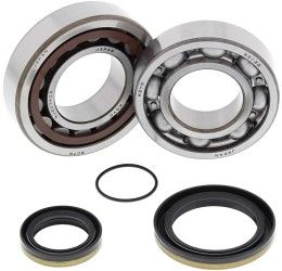 Kit cuscinetti albero motore e paraoli All Balls per KTM 250 Freeride R 15-17