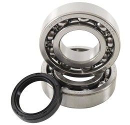 Kit cuscinetti albero motore e paraoli Hot Rods per Suzuki RMZ 250 04-06