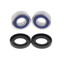 Kit cuscinetti e parapolvere ruota anteriore All Balls per Honda Hornet 900 02-07
