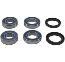 Kit cuscinetti e parapolvere ruota posteriore All Balls per Aprilia Caponord 1200 14-17