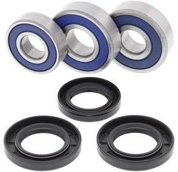 Kit cuscinetti e parapolvere ruota posteriore All Balls per Honda Africa Twin XRV 750 90-03
