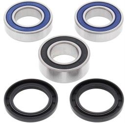 Kit cuscinetti e parapolvere ruota posteriore All Balls per Husqvarna WR 300 08-13