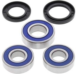 Kit cuscinetti e parapolvere ruota posteriore All Balls per Kawasaki Z 900 RS SE 2022