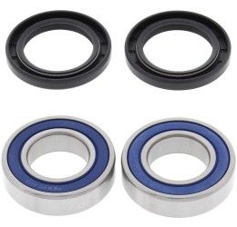Kit cuscinetti e parapolvere ruota posteriore All Balls per KTM 250 SXS 94-22