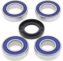 Kit cuscinetti e parapolvere ruota posteriore All Balls per KTM 790 Adventure S 19-20