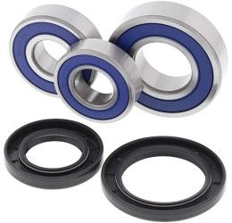 Kit cuscinetti e parapolvere ruota posteriore All Balls per Yamaha MT-07 18-22