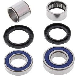 Kit cuscinetti e parapolvere ruota posteriore All Balls per Yamaha R1 00-01