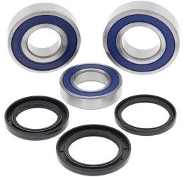 Kit cuscinetti e parapolvere ruota posteriore All Balls per Yamaha R1 15-22