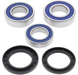 Kit cuscinetti e parapolvere ruota posteriore All Balls per Yamaha R1 2006