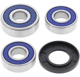 Kit cuscinetti e parapolvere ruota posteriore All Balls per Yamaha T-Max 500 2002 | 06-11
