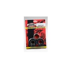 Kit cuscinetti e parapolvere ruota posteriore Pivot Works per Yamaha R1 00-01