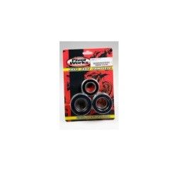 Kit cuscinetti e parapolvere ruota posteriore Pivot Works per Yamaha R1 2006