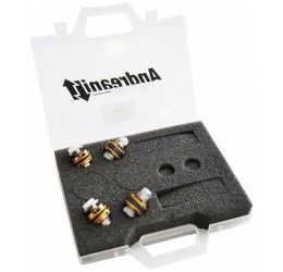 Kit pompanti forcella Andreani compressione + estensione per Yamaha R6 18-20