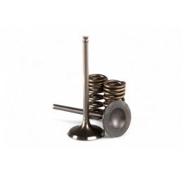 Kit modifica valvole aspirazione Prox in acciaio invece che titanio per Kawasaki KXF 250 11-16 (2 valvole e molle)