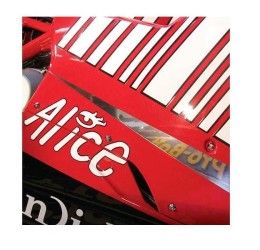 Kit viteria Carena in ACCIAIO INOX Pro-Bolt per Ducati 1098 S 07-10