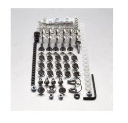 Kit viteria Carena in ACCIAIO INOX Pro-Bolt per Yamaha R1 04-06 con ganci rapidi