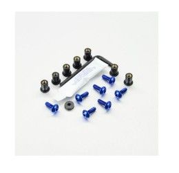 Kit viti Cupolino ERGAL Pro-Bolt per Aprilia RS 125 99-05 - 7 viti + dado elastico