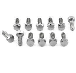 Kit viti dischi freno anteriori in ACCIAIO INOX Pro-Bolt per Aprilia Dorsoduro 750 Factory 10-13 testa esagonale - confezione da 12 viti