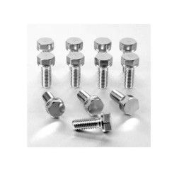 Kit viti dischi freno anteriori in ACCIAIO INOX Pro-Bolt per Aprilia RSV 1000 98-00 12 pezzi