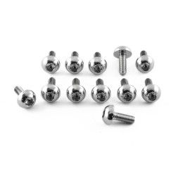 Kit viti dischi freno anteriori in ACCIAIO INOX Pro-Bolt per Honda Hornet 600 S 98-02 - 12 viti