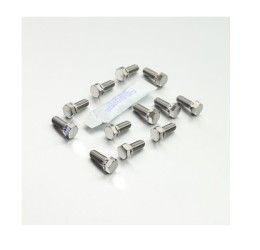 Kit viti dischi freno anteriori in TITANIO Pro-Bolt per Aprilia RSV4 1100 Factory ABS 2019 testa esagonale 12 pezzi