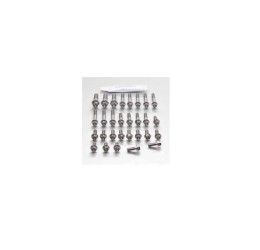 Kit viteria motore forate in ACCIAIO INOX Pro-Bolt per Kawasaki Z 900 RS SE 2021 modello Race Spec