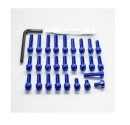 Kit viteria motore in ERGAL Pro-Bolt per Aprilia RSV4 1100 Factory 2019
