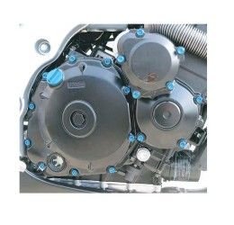 Kit viteria motore in ERGAL Pro-Bolt per Suzuki GSR 600 06-13