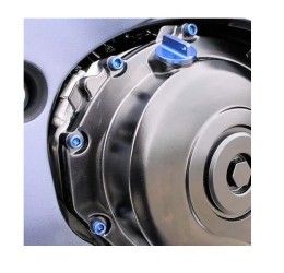 Kit viteria motore in ERGAL Pro-Bolt per Suzuki GSX-R 750 06-10