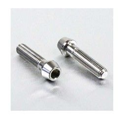 Kit viti piede forcella in ACCIAIO INOX Pro-Bolt per Triumph Tiger 1200 Explorer 12-15