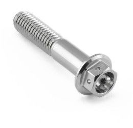 Kit viti piede forcella in ACCIAIO INOX Pro-Bolt per Yamaha FZ6 Fazer 04-06