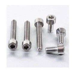 Kit viti Tappo serbatoio ACCIAIO INOX Pro-Bolt per Triumph Speed Triple T509 97-98