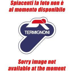 Terminali di scarico Termignoni omologati carbonio per Harley Davidson XR 1200 09-12 (coppia)