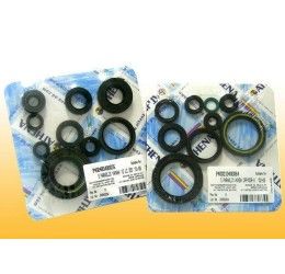 Serie Paraoli Motore Athena per Ducati Monster 750 2002